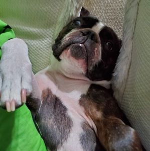 Meet your Posher, Tammy